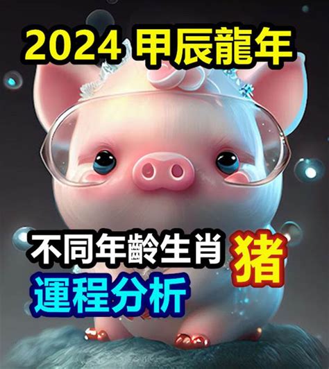 豬生肖2024